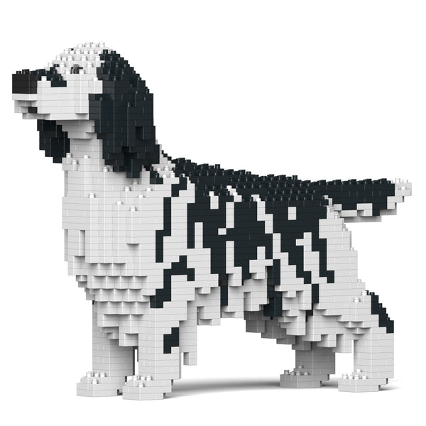 Jekca English Setter 01-M02