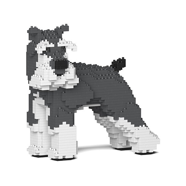 Jekca Standard Schnauzer 02-M01