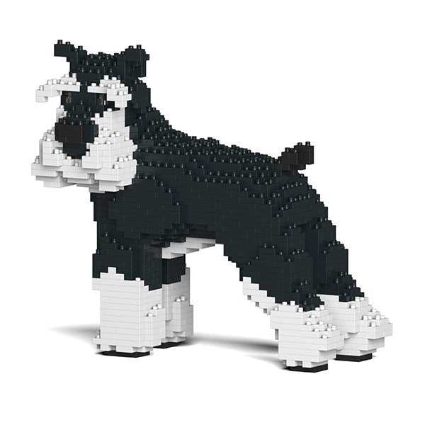 Jekca Standard Schnauzer 02-M02