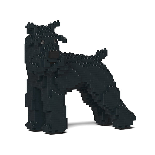 Jekca Standard Schnauzer 02-M03