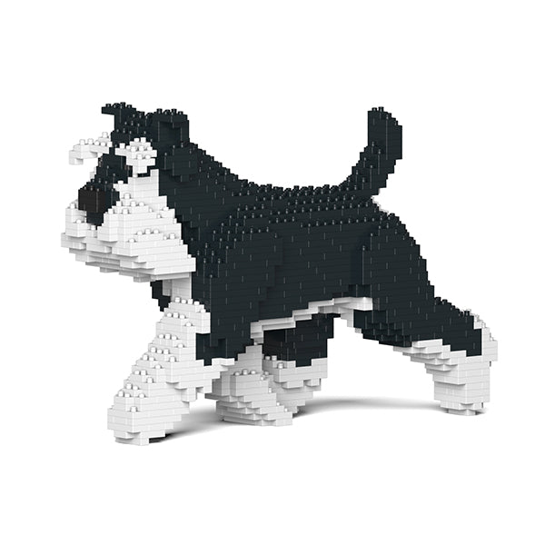 Jekca Standard Schnauzer 03-M02