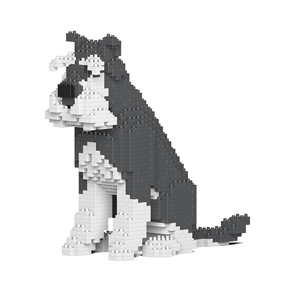 Jekca Standard Schnauzer 04-M01