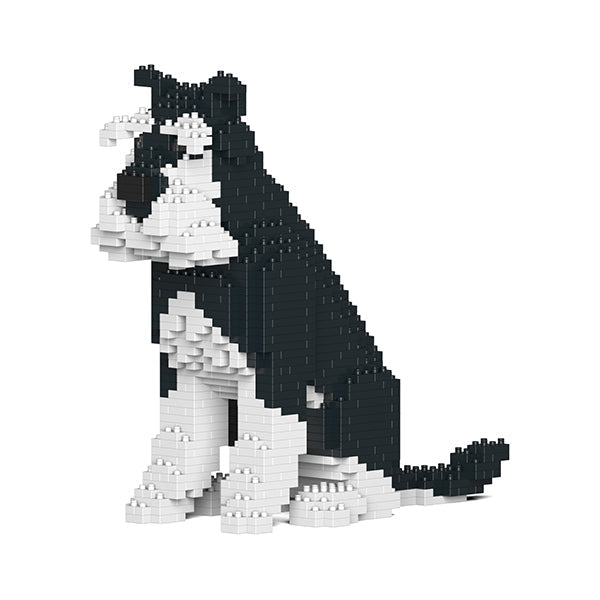 Jekca Standard Schnauzer 04-M02