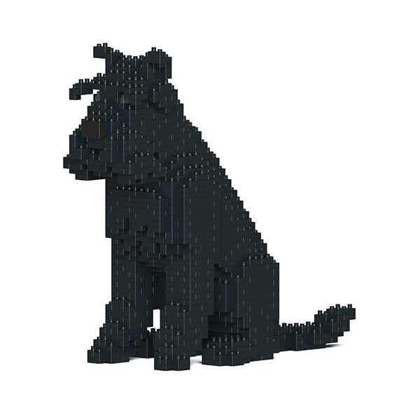 Jekca Standard Schnauzer 04-M03