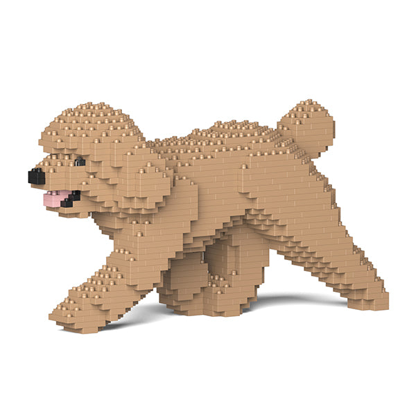 Jekca Toy Poodle 02-M03