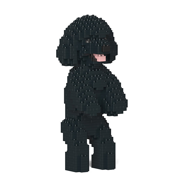 Jekca Toy Poodle 04-M02