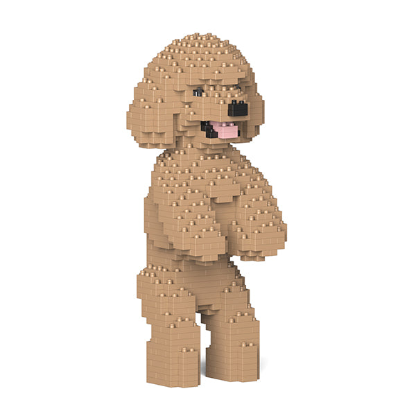 Jekca Toy Poodle 04-M03