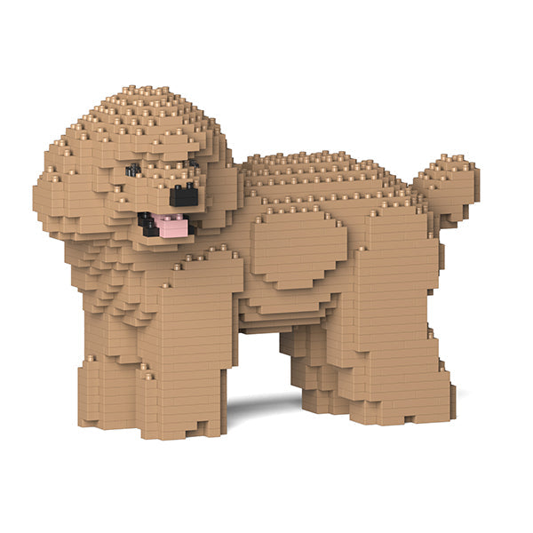 Jekca Toy Poodle 05-M03