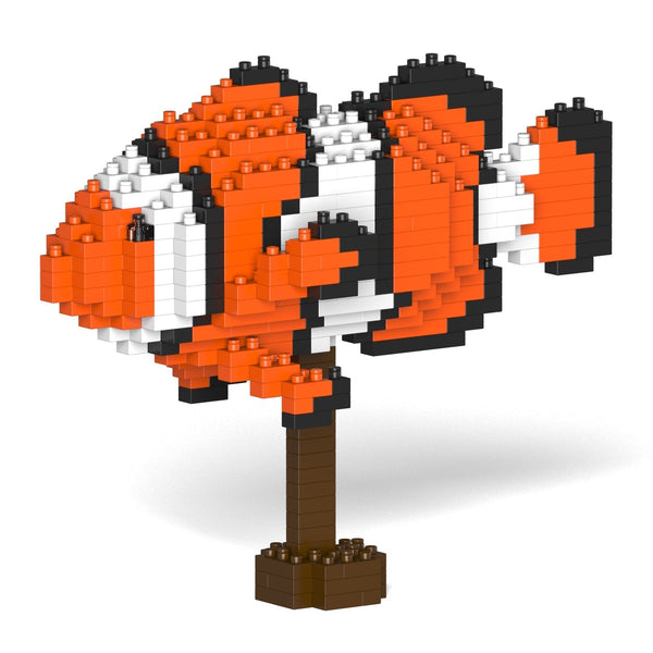 Jekca Percula Clownfish 01