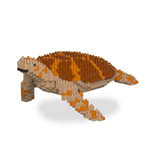 Jekca Sea Turtle 01-M01