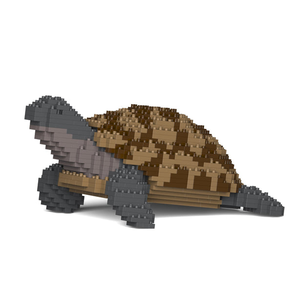 Jekca Greek Tortoise 01