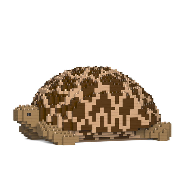 Jekca Indian Star Tortoise 01