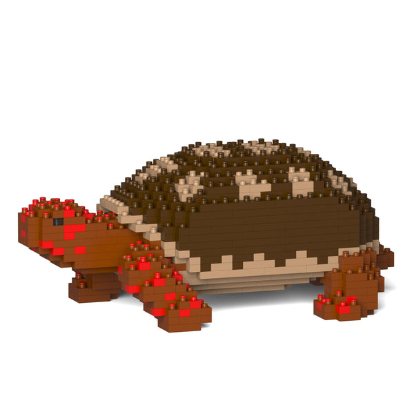 Jekca Red-footed Tortoise 01