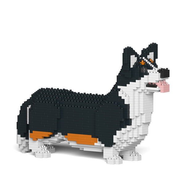 Jekca Welsh Corgi 02-M03