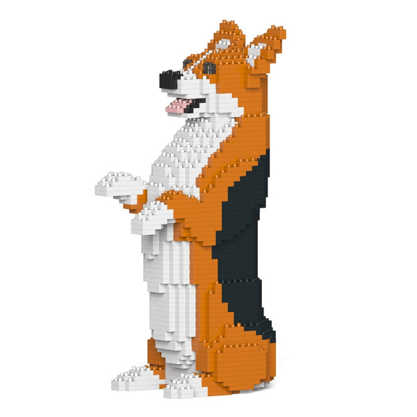 Jekca Welsh Corgi 05-M02