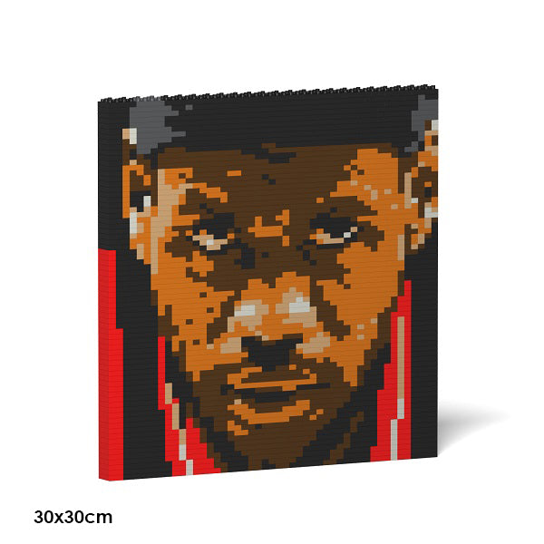 JEKCA Animal Building Blocks Kit for Kidults LeBron James Brick Painting 01S