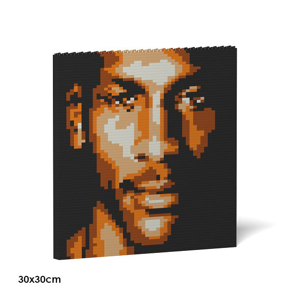 JEKCA Animal Building Blocks Kit for Kidults Michael Jordan Brick Painting 02S