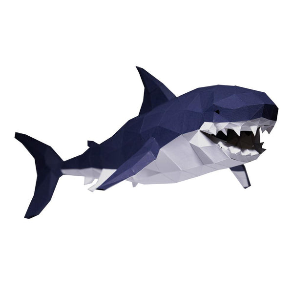 3D Shark Model